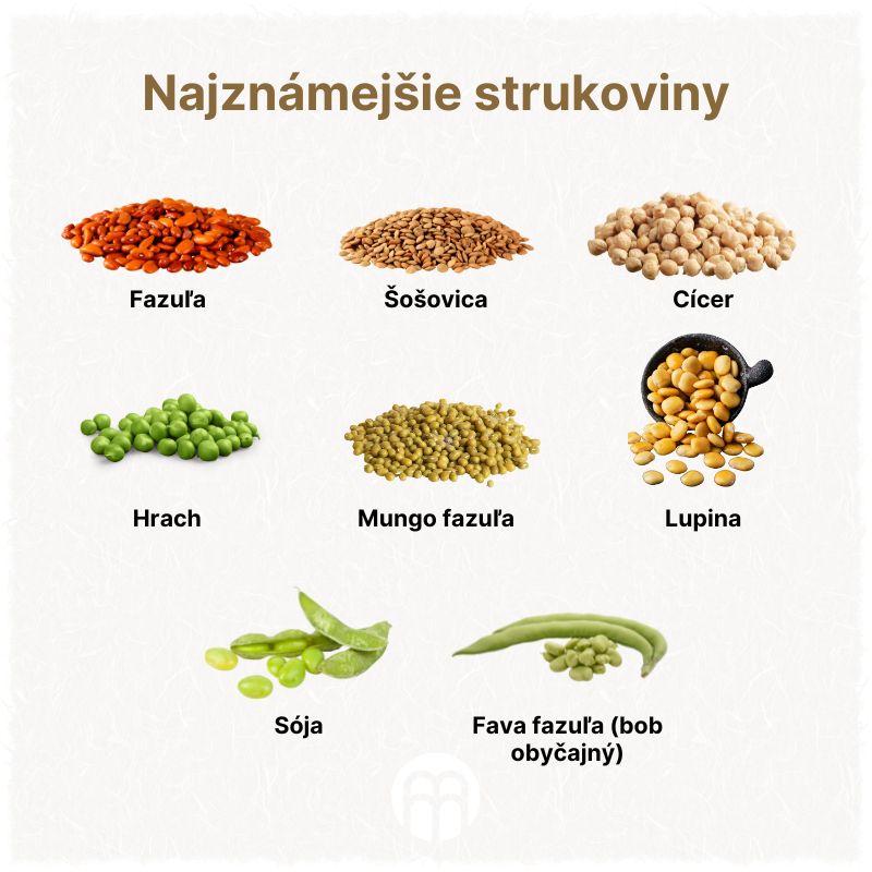 (Slovenčina) Nejznámější luštěniny